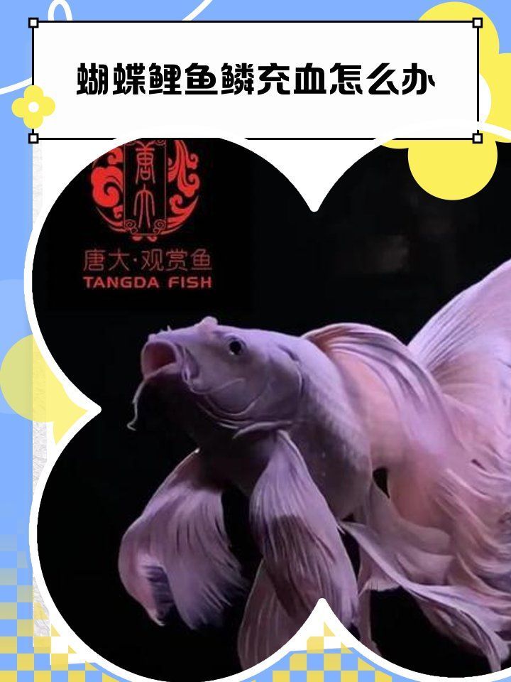 魚鱗充血如何治療最有效，“魚鱗充血如何治療最有效調用工具百度健康-去問診