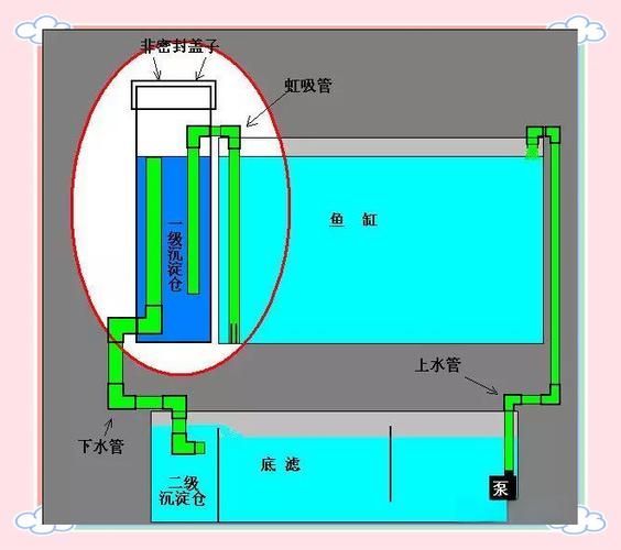 如何預防龍魚腹水病的發生，如何預防龍魚腹水病的發生用戶要求詳解如何預防龍魚腹水病的發生
