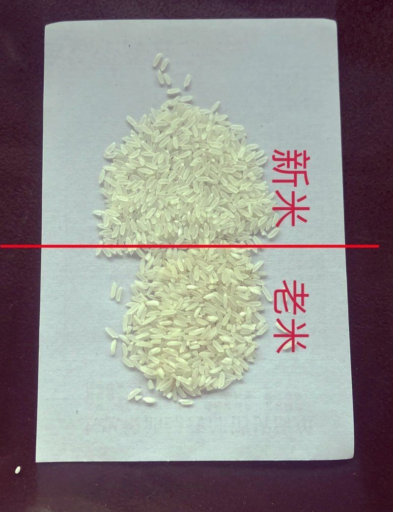 如何判斷大米的新鮮度？，判斷大米新鮮度的方法包括1000字→t1354-