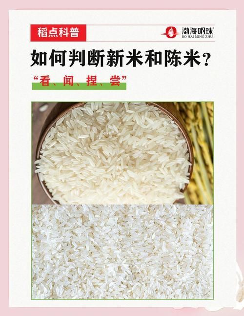 如何判斷大米的新鮮度？，判斷大米新鮮度的方法包括1000字→t1354-