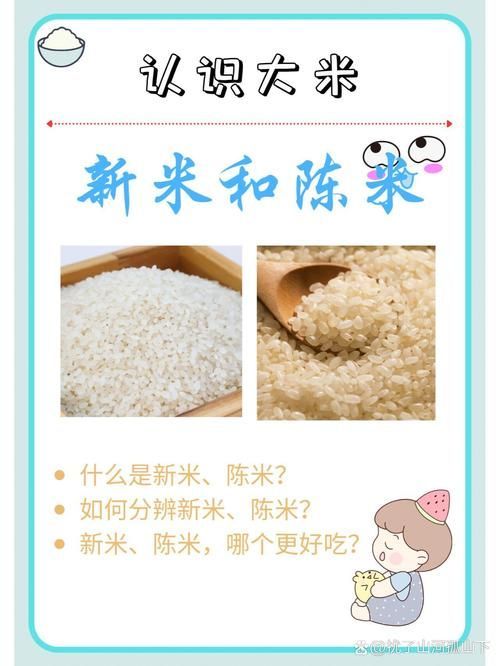 如何判斷大米的新鮮度？，判斷大米新鮮度的方法包括1000字→t1354-