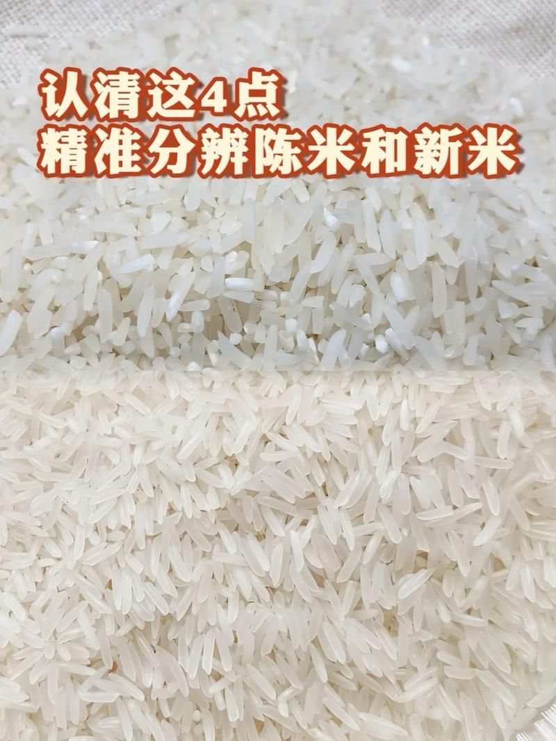 如何判斷大米的新鮮度？，判斷大米新鮮度的方法包括1000字→t1354-