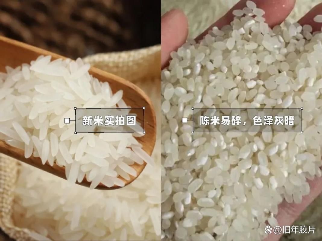 如何判斷大米的新鮮度？，判斷大米新鮮度的方法包括1000字→t1354-
