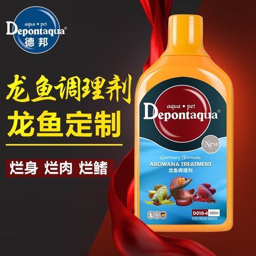 給我一些預防龍魚爛鰭爛尾的圖片，如何預防龍魚爛鰭爛尾