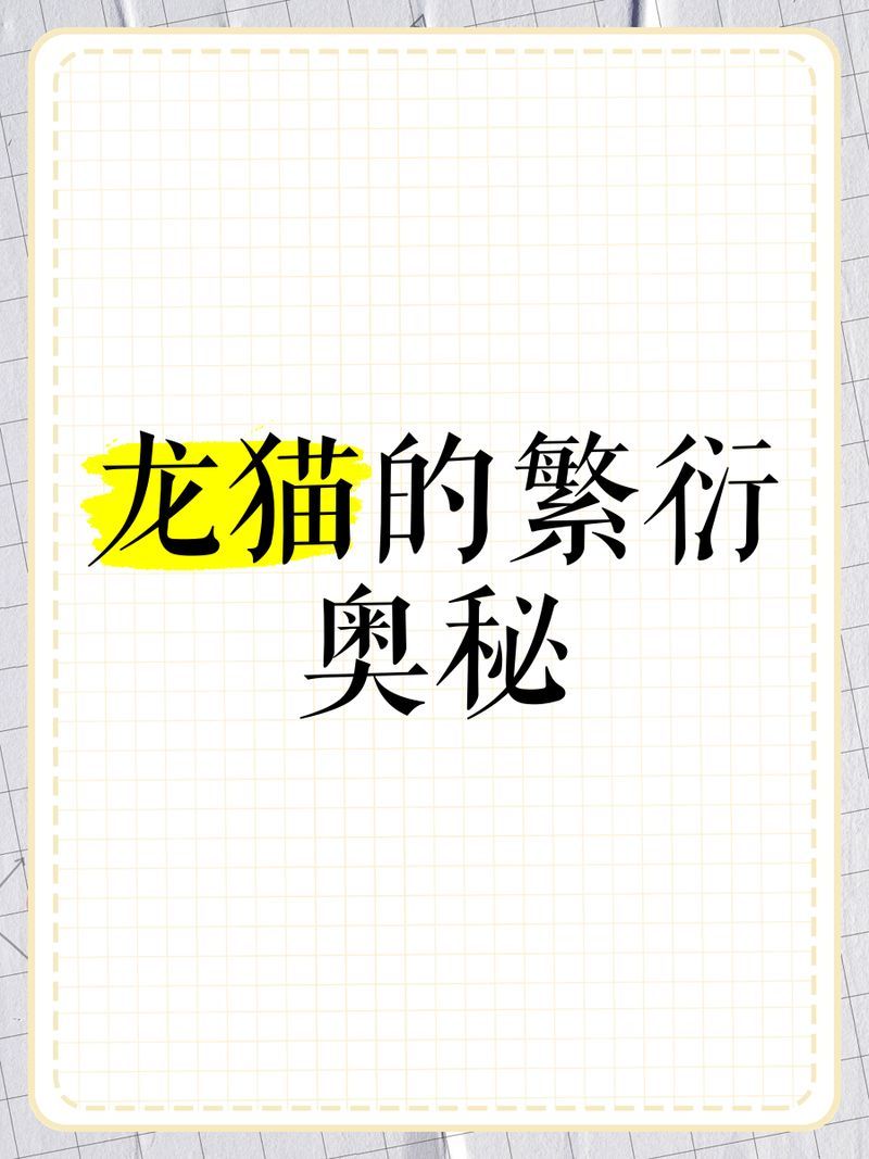 龍貓合籠后多久能繁殖，瑞秋好物分享：龍貓合籠后多久能繁殖