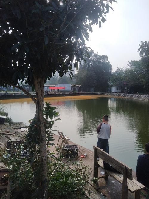 長汀地區有哪些著名的龍魚養殖基地？，福建長汀縣龍魚養殖基地是否存在具體命名的龍魚養殖基地