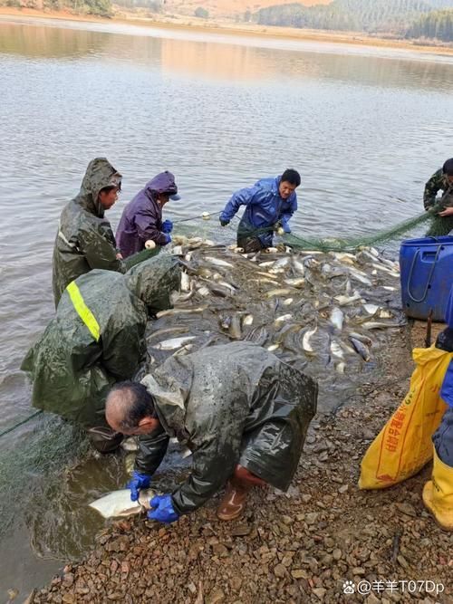 長汀地區有哪些著名的龍魚養殖基地？，福建長汀縣龍魚養殖基地是否存在具體命名的龍魚養殖基地