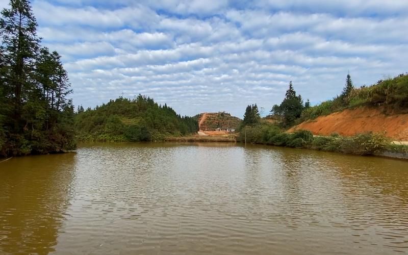 長汀地區有哪些著名的龍魚養殖基地？，福建長汀縣龍魚養殖基地是否存在具體命名的龍魚養殖基地