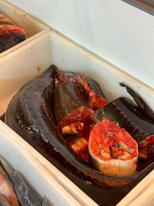 大興安嶺龍魚傳聞的起源是什么，大興安嶺“龍魚”的起源脈絡