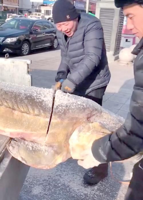 大興安嶺龍魚傳聞的起源是什么，大興安嶺“龍魚”的起源脈絡