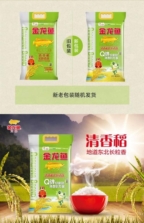 金龍魚大米的主要產(chǎn)品有哪些，金龍魚大米怎么樣