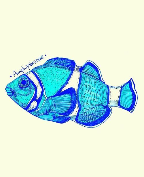 請?zhí)峁└嚓P(guān)于觀賞魚色彩形成的圖片，關(guān)于觀賞魚色彩形成的奧秘