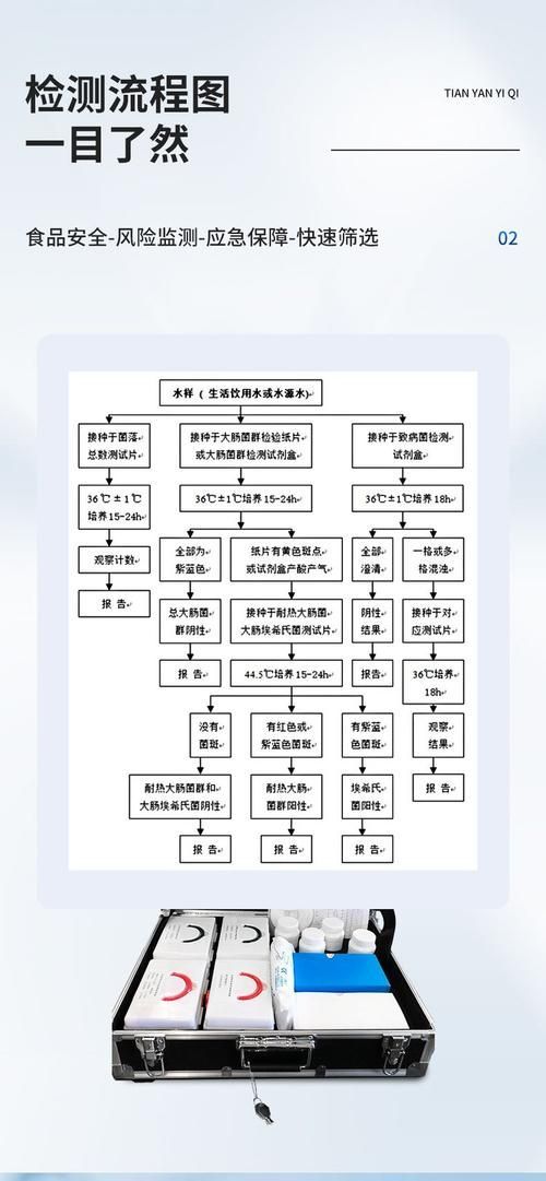 陽東龍魚養殖技術有哪些？，陽東地區龍魚養殖技術詳解
