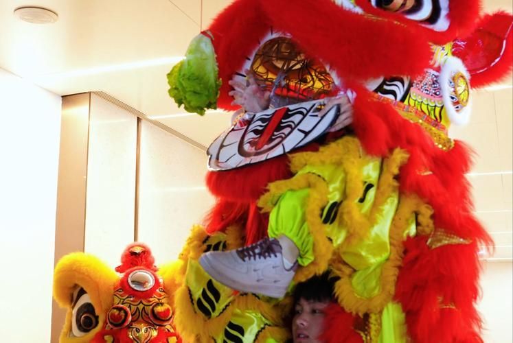 鯉城龍魚節有哪些活動？，2026年鯉城龍魚節