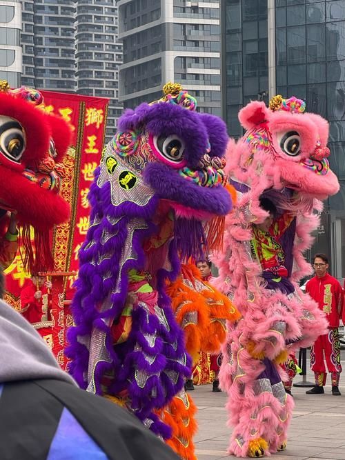 鯉城龍魚節有哪些活動？，2026年鯉城龍魚節