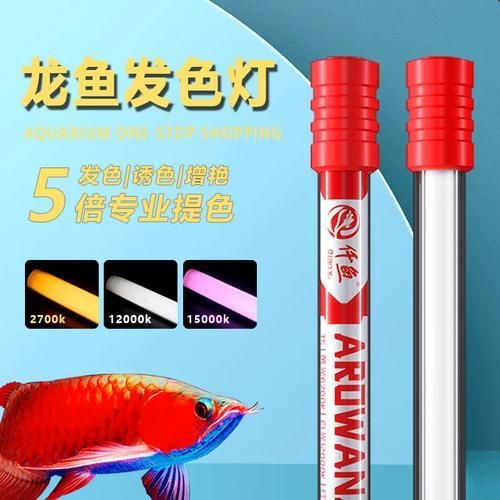 龍魚2700K燈的價(jià)格是多少，龍魚2700k燈價(jià)格是多少調(diào)用全球搜檢索14篇資料