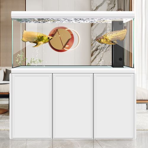 有哪些品牌推薦養(yǎng)龍魚(yú)的魚(yú)缸？，養(yǎng)龍魚(yú)的魚(yú)缸品牌推薦