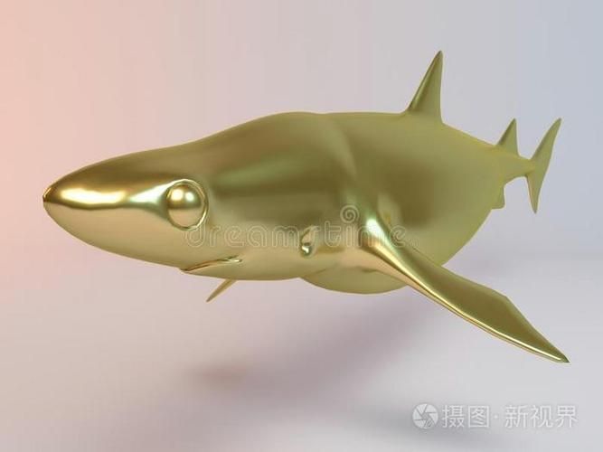 能否提供更多關于這只金色鯊魚的圖片，小眼雙髻鯊與檸檬鯊是自然種群中穩定存在的金色鯊魚