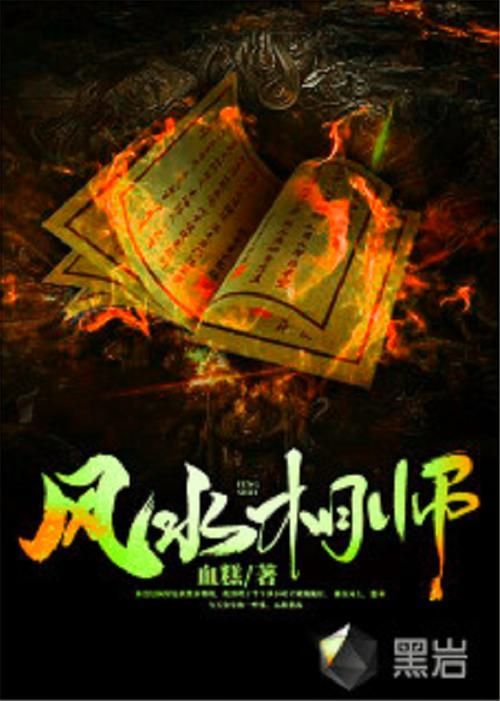 《風水相師龍生》有哪些特色，《極品風水相師龍生》