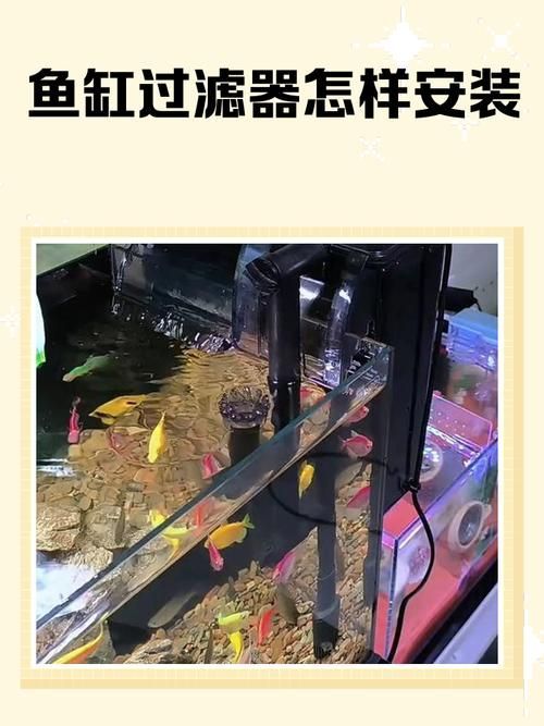 推薦幾款適合紅龍魚苗的過濾器，幾款適合紅龍魚苗的過濾器推薦