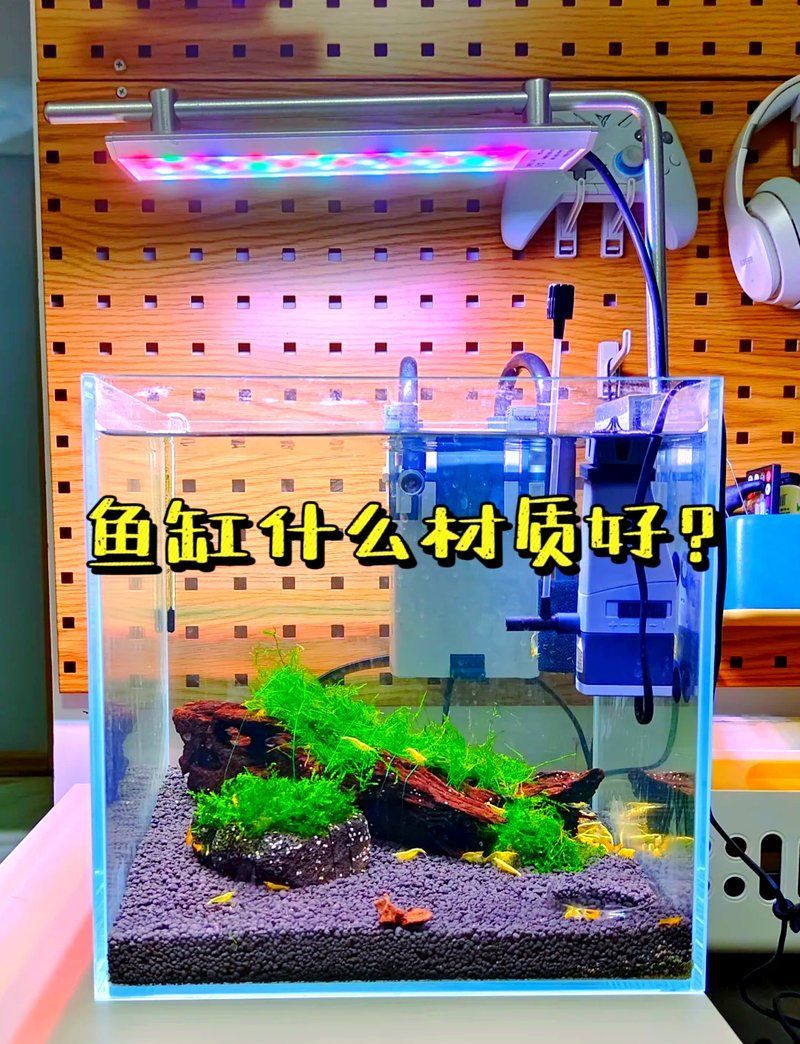 有哪些魚缸材質可選，魚缸材質對于水質和美觀度有影響