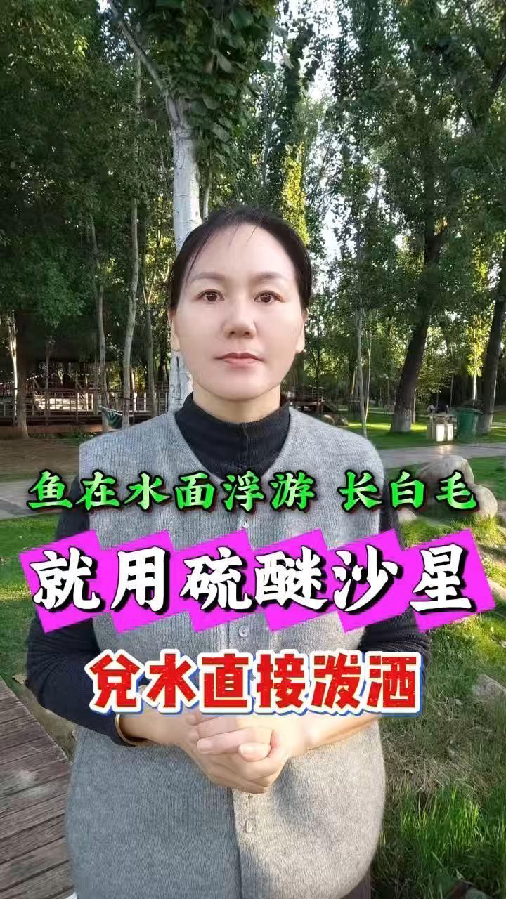 哪些藥物可以有效治療魚塘水霉病，哪些藥物可以有效治療魚塘水霉病,治療魚塘水霉病，關鍵在于