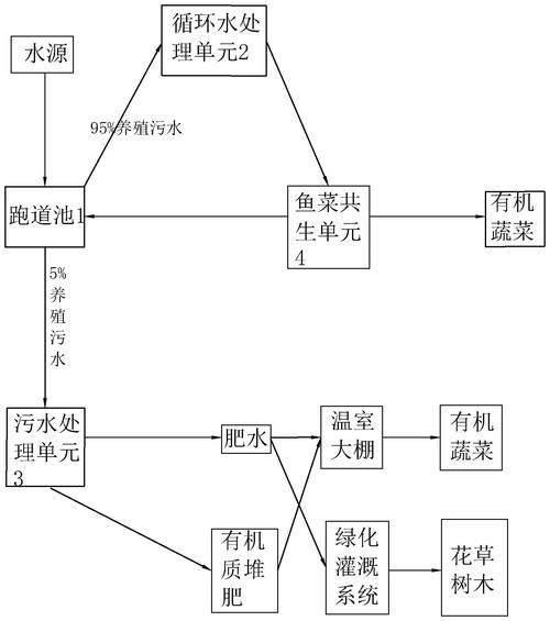 如何預防龍魚鰭爛再次發生，如何預防龍魚鰭爛