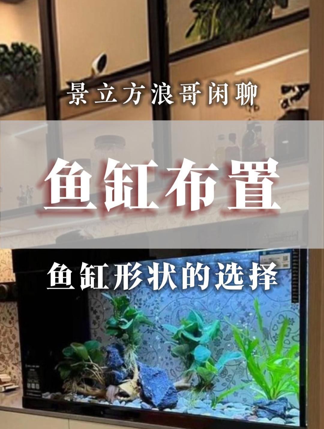 魚缸形狀與方位有何關(guān)聯(lián)，魚缸形狀與方位有何關(guān)聯(lián)魚缸形狀與方位在風(fēng)水中緊密關(guān)聯(lián)