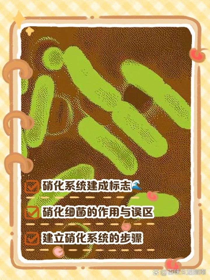 如何判斷硝化細菌是否已建立，如何判斷魚缸硝化細菌是否已建立