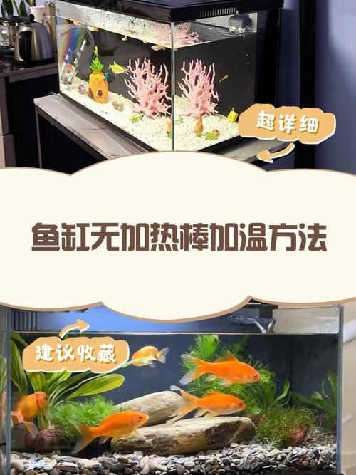 如何預(yù)防紅龍魚(yú)眼白點(diǎn)復(fù)發(fā)？，如何預(yù)防紅龍魚(yú)眼白點(diǎn)病