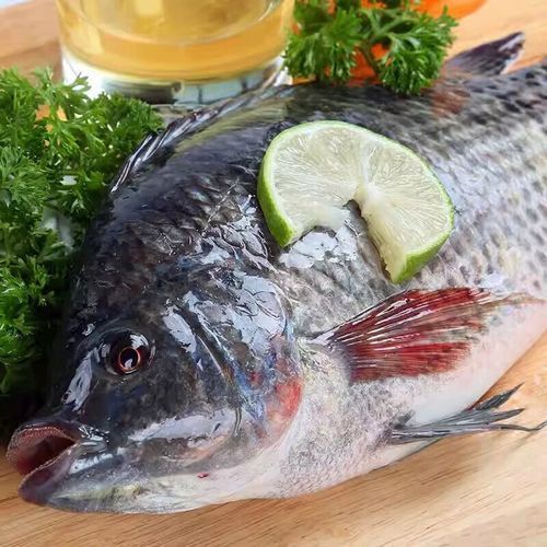 能否提供脆魚和龍魚的最新價格對比圖
