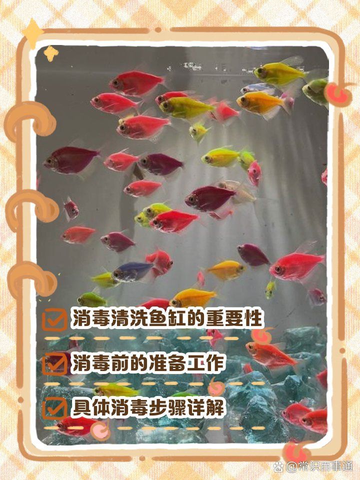 如何預防龍魚外寄生蟲，如何預防龍魚外寄生蟲調用工具arxiv論文助手