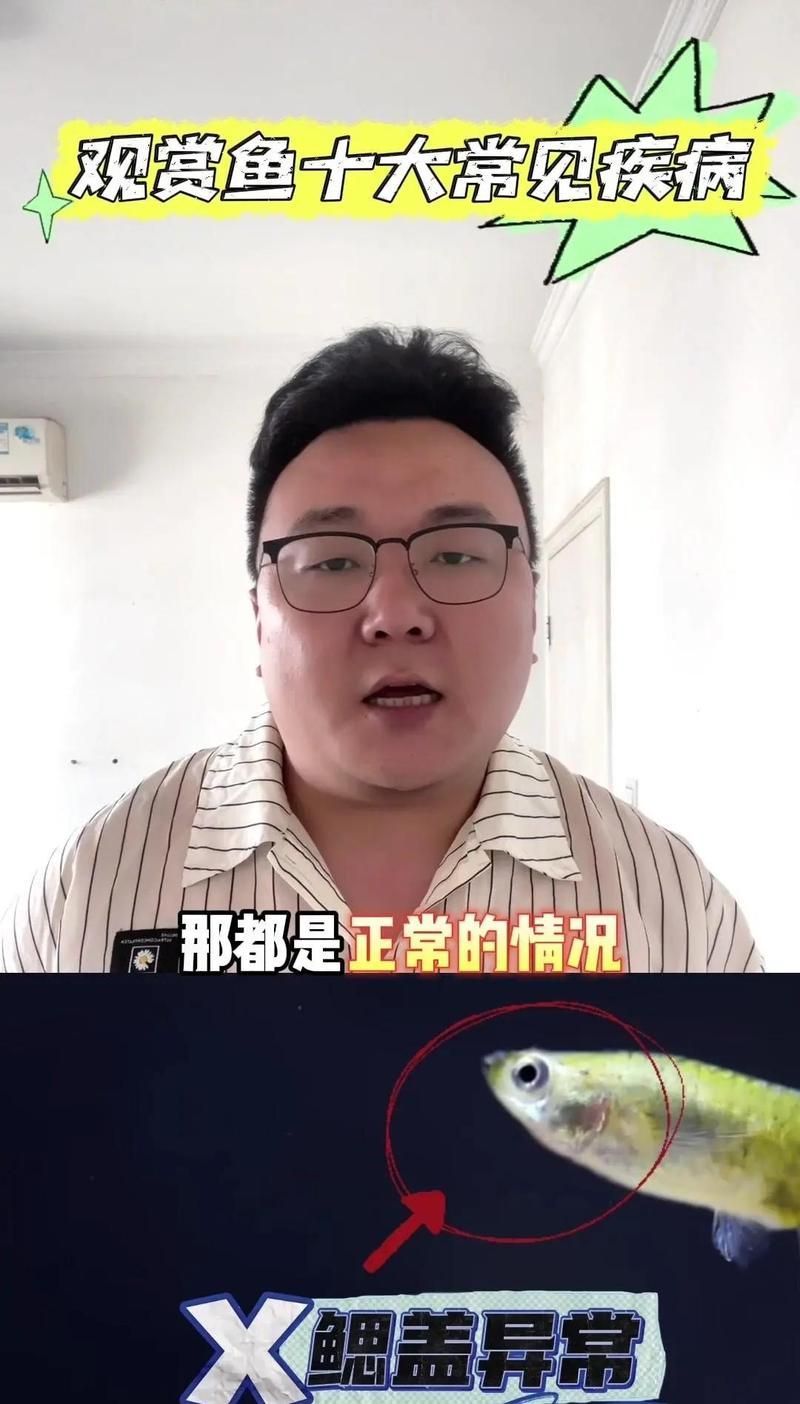 魚(yú)呼吸急促會(huì)死亡嗎，魚(yú)呼吸急促會(huì)死亡嗎,