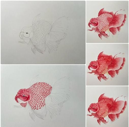 有沒有國畫金魚的視頻教程，國畫金魚教學(xué)視頻