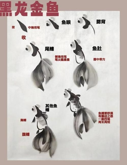 有沒有國畫金魚的視頻教程，國畫金魚教學視頻