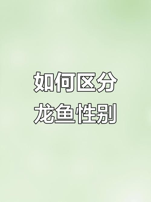 如何鑒別真假安源龍魚，如何鑒別安源龍魚