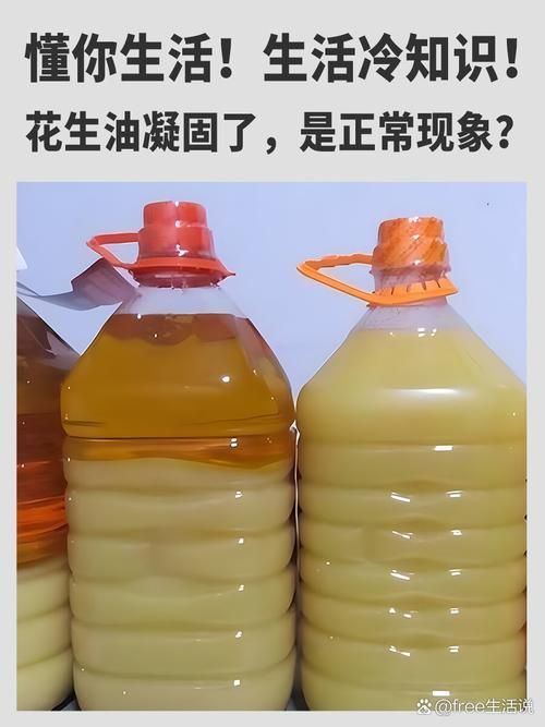 如何辨別食用油的真偽，如何辨別食用油的真偽鑒別方法與配圖信息整理完成