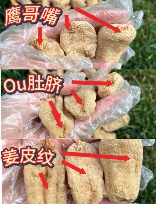 如何辨別食用油的真偽，如何辨別食用油的真偽鑒別方法與配圖信息整理完成