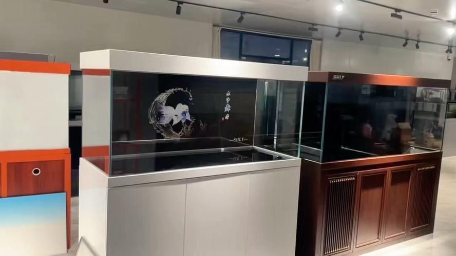 如何優化龍魚缸圖片搜索？，優化龍魚缸圖片搜索結果質量標桿：如何優化龍魚缸