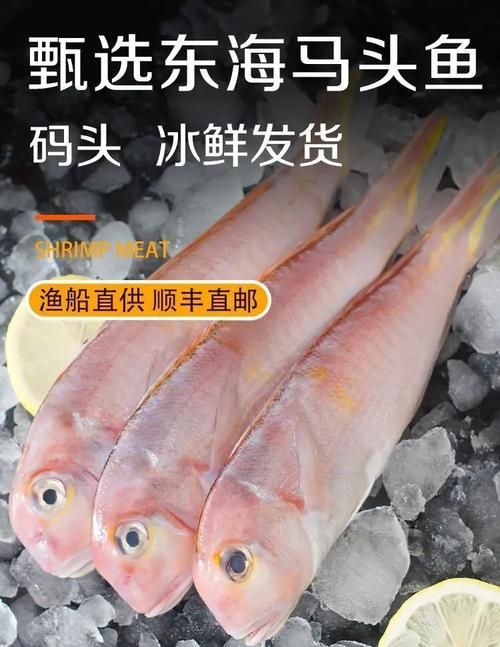 舟山漁場有哪些著名魚類，舟山漁場有哪些著名的魚類，如何保護舟山漁場生態環境