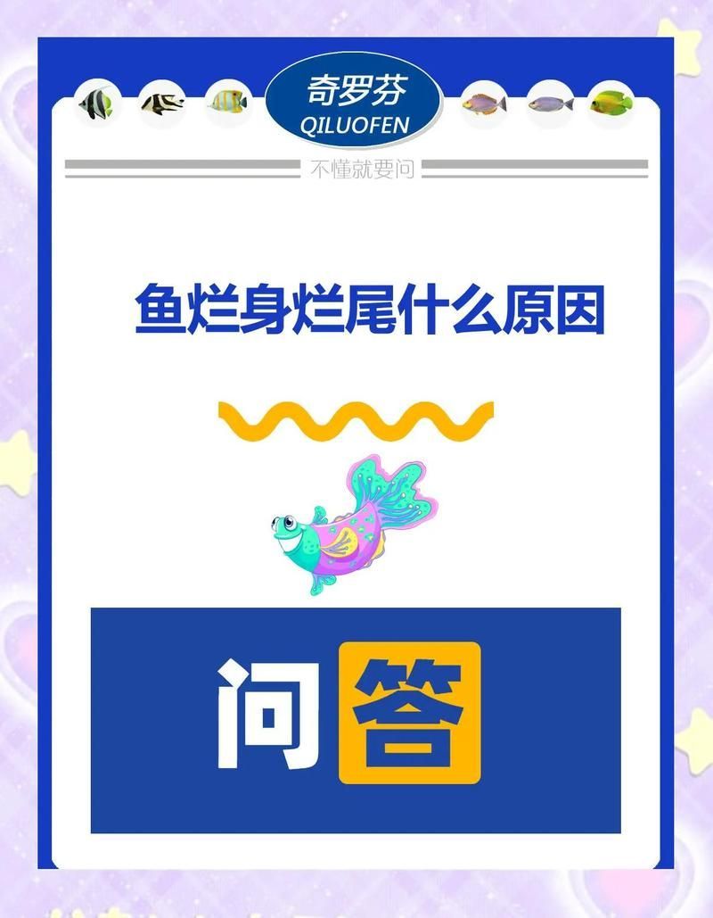 魚(yú)身上潰爛能活多久，魚(yú)身上潰爛能活多久，