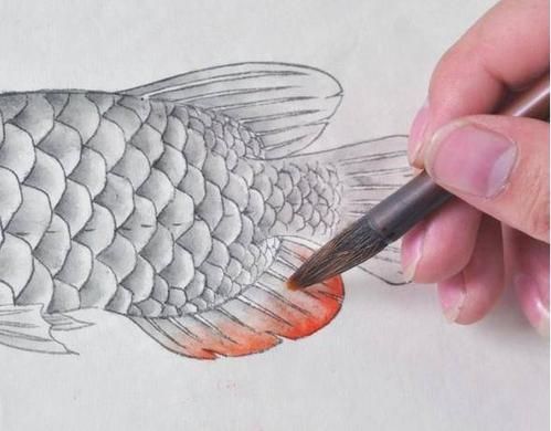 金龍魚畫法步驟圖解，水墨金龍魚的畫法步驟圖解