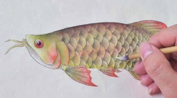 金龍魚畫法步驟圖解，水墨金龍魚的畫法步驟圖解