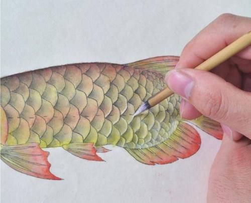 金龍魚畫法步驟圖解，水墨金龍魚的畫法步驟圖解