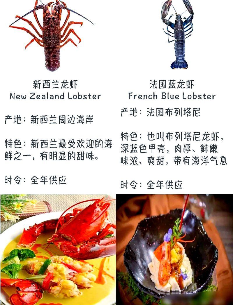 有哪些常見的龍蝦品種，12種常見的龍蝦品種，六角龍的繁殖行為是怎樣的