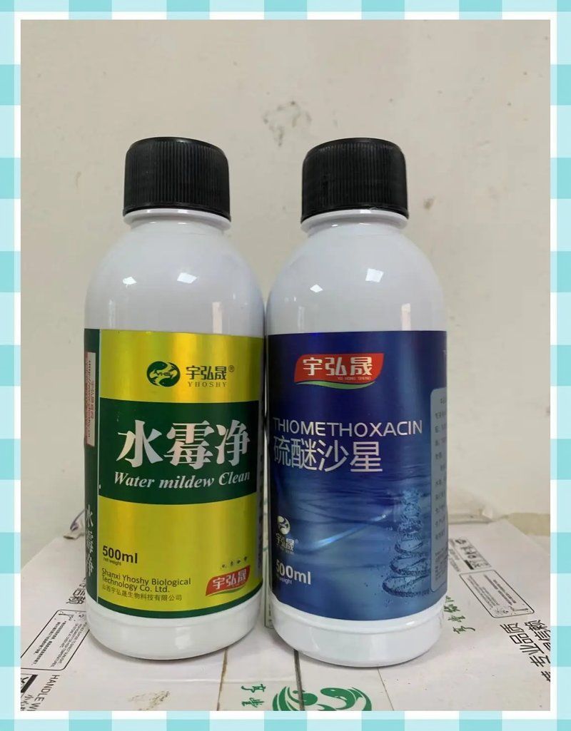 能否提供更多預防水霉病的技巧，如何預防水霉病