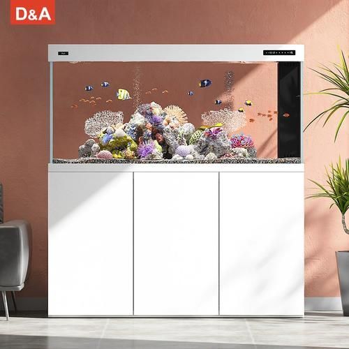 哪個(gè)品牌的龍魚魚缸最耐用？