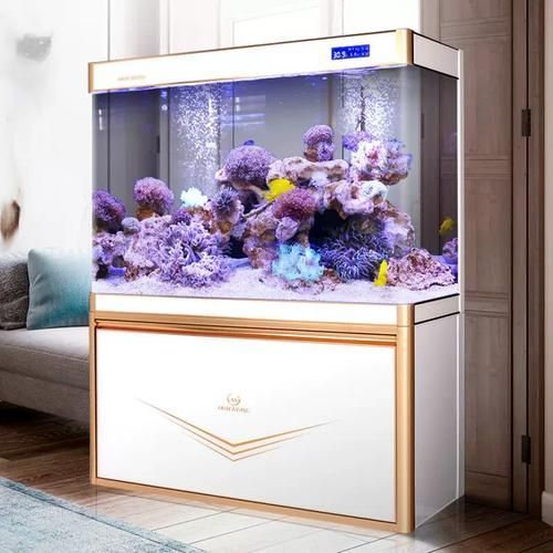 哪個(gè)品牌的龍魚魚缸最耐用？