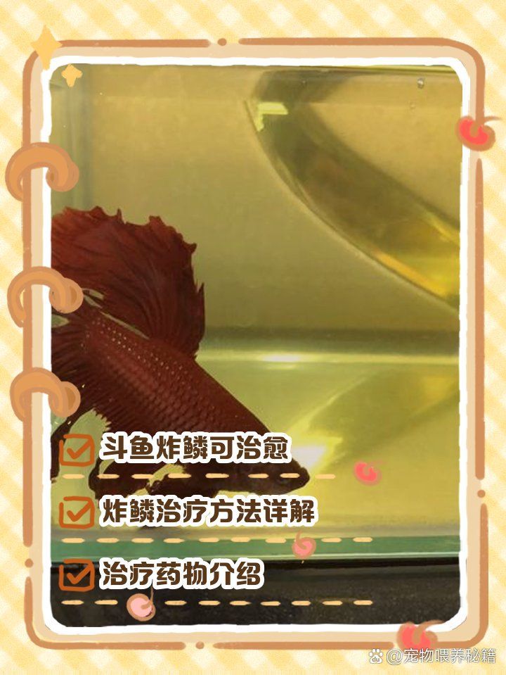 亞甲基藍治療炸鱗需要多久一個療程，亞甲基藍治療炸鱗需要多久