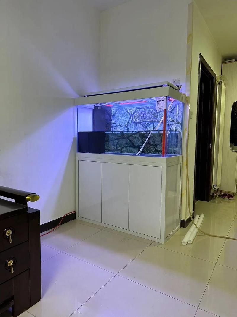 祥龍魚場是否提供龍魚缸的圖片？